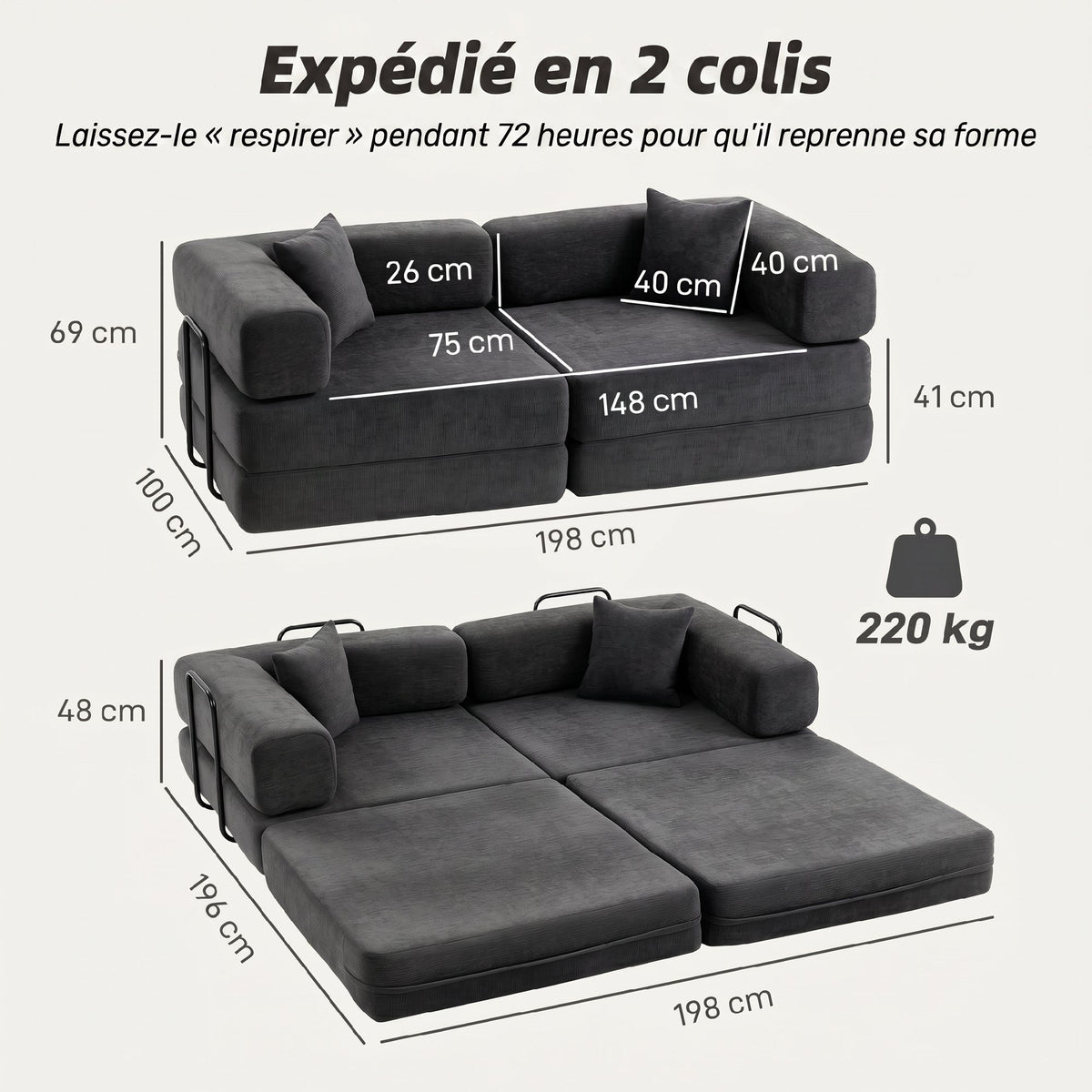 Canapé Convertible 2 Places, Canapé-Lit en Chenille 198 cm, Assise et Accoudoirs Larges, 2 Coussins, Gris Foncé